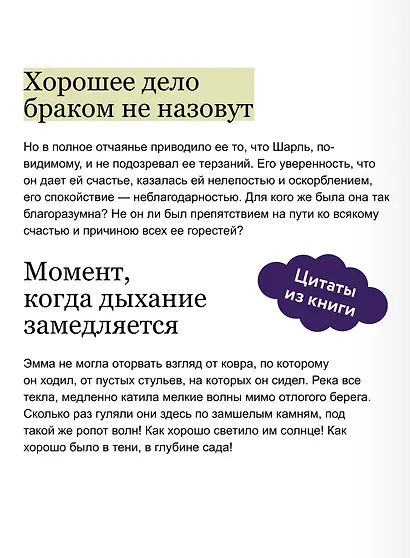 Госпожа Бовари. Вечные истории - фото 4