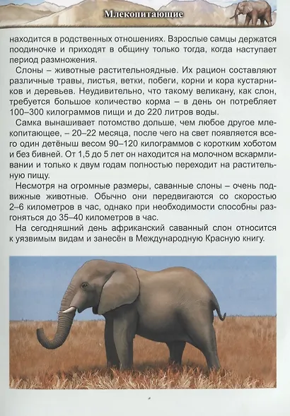 Гиганты животного мира. Энциклопедия - фото 7