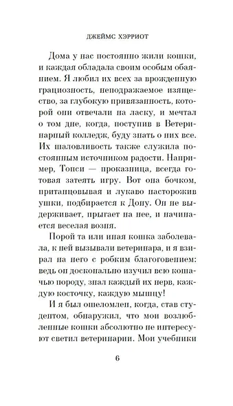 Кошачьи истории - фото 10