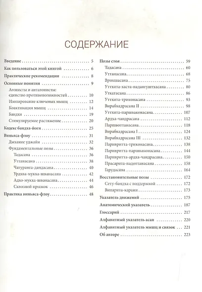 Анатомия виньяса-флоу и асан, выполняемых стоя - фото 2