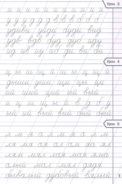 Тренажёр по чистописанию. 2 класс. Учимся писать грамотно. ФГОС Новый - фото 3