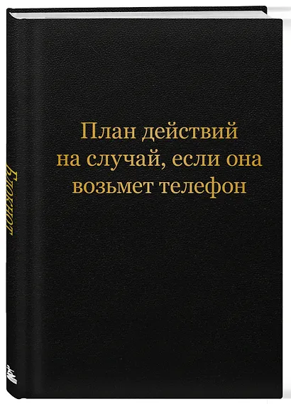 Блокнот. План действий на случай, если она возьмет телефон (А5, 64 л.) - фото 2