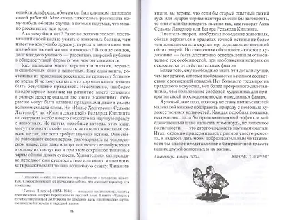 Кольцо царя Соломона - фото 5