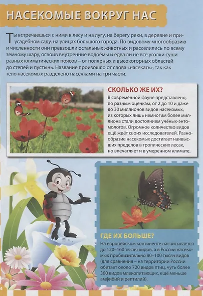 Мир насекомых - фото 3