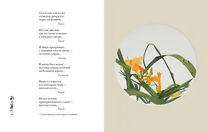 Мир в капле дождя. Осень. Зима. Хайку на все времена - фото 9