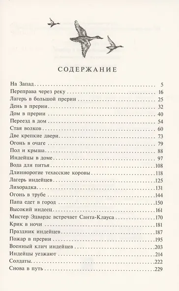Маленький домик в прерии - фото 2
