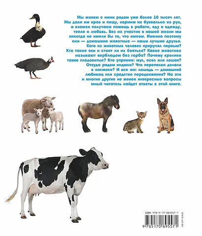 Домашние животные - фото 2