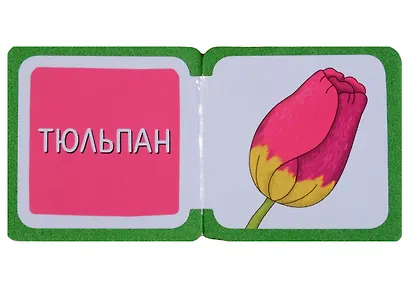 Мини-книжки ЭВА. Что здесь растёт? На клумбе - фото 2