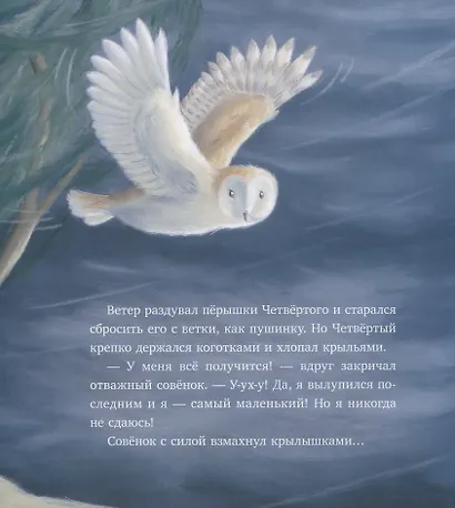 Самый маленький совёнок - фото 5