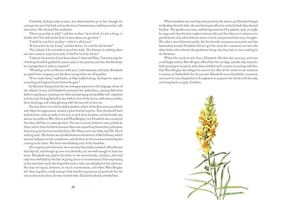 Pride and Prejudice: Illustr by Marjolein Bastin (Jane Austen) Гордость и предубеждение с илл М. Бастин (Джейн Остин)/ Книги на английском языке - фото 3