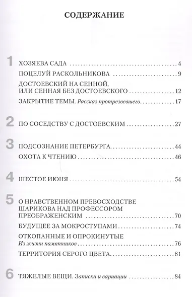 Поцелуй Раскольникова. Рассказы и эссе. - фото 2