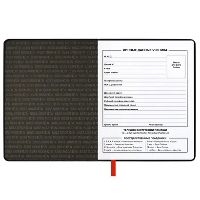 Дневник шк. "Режим босса" кожзам, тв.переплёт, аппликация, шелкография в одну краску, блинт.тиснение, пантон, одно ляссе, загругл.углы, универс.шпаргалка - фото 10