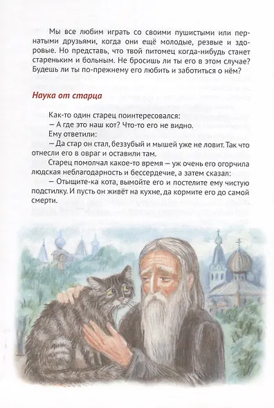 Бесценные дары нашего Творца - фото 5