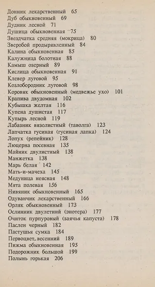 Блюда из дикорастущих растений - фото 3