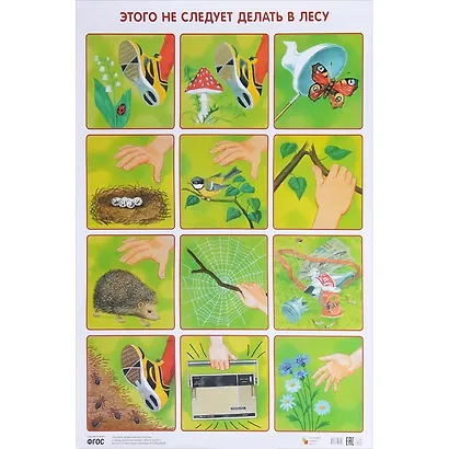 Этого не следует делать в лесу 50 x 69 - фото 1