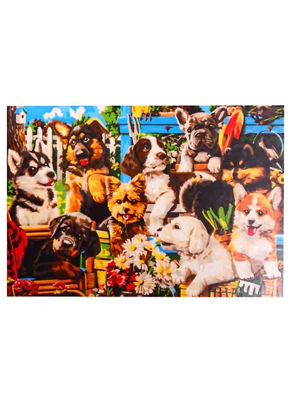 Набор д/творчества Рыжий кот Палитра. Холст с красками 40х50см по номер. в кор. (20 цв.) Щенки на природе ХК-5880 - фото 1