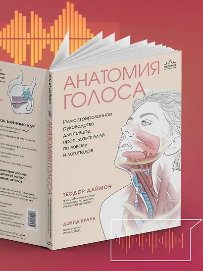 Анатомия голоса. Иллюстрированное руководство для певцов, преподавателей по вокалу и логопедов - фото 11