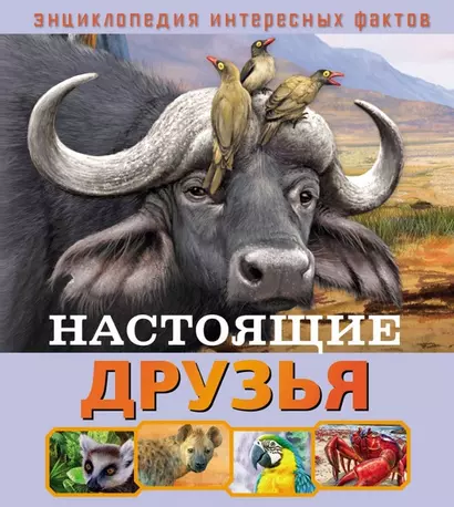 Настоящие друзья - фото 1