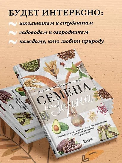 Семена и зерна. Иллюстрированный атлас. Удивительные факты о сельскохозяйственных культурах и их влияние на развитие человечества - фото 7