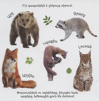В мире животных (на армянском языке) - фото 3