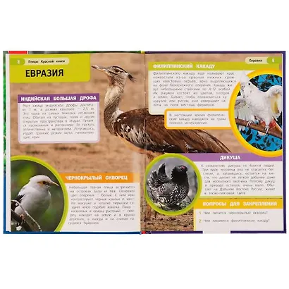 Птицы Красной книги - фото 4