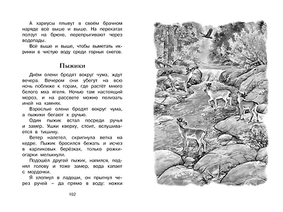 Беспокойный хвостик - фото 7