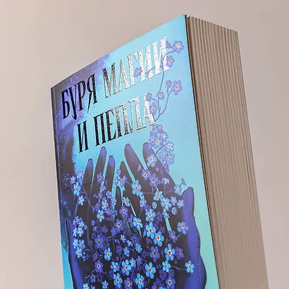 Буря магии и пепла - фото 6