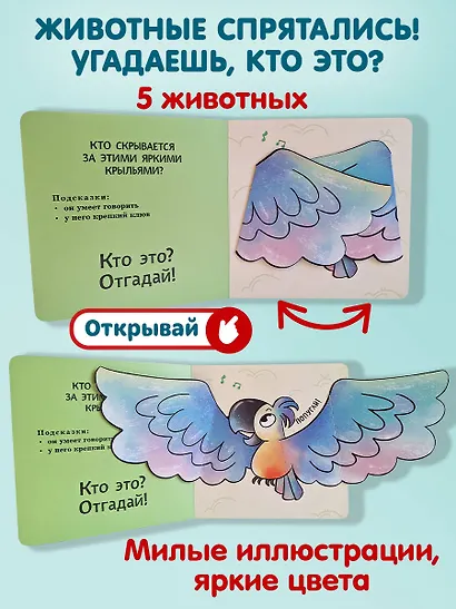 Интерактивные загадки. Кто здесь прячется? (коала) - фото 5