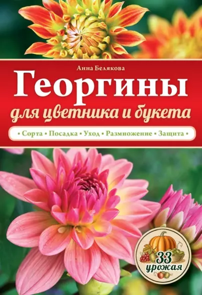 Георгины  для цветника и букета - фото 1