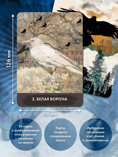 Оракул городской вороны (54 карты и руководство в коробке) - фото 5