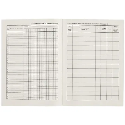 Журнал учёта работы педагога дополнительного образования - фото 2