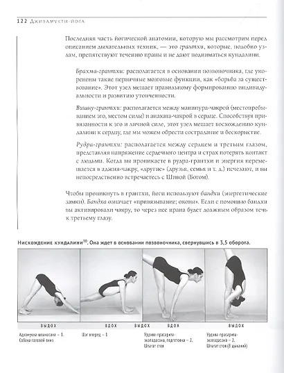 Дживамукти-Йога. Практика освобождения тела и духа - фото 5