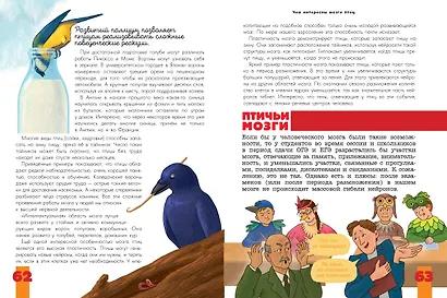 Птицы. Биология. Физиология - фото 13
