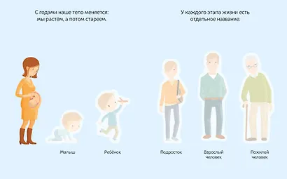 Тело человека - фото 3