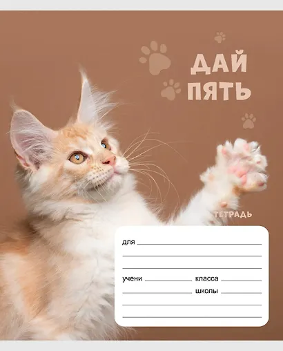 Тетрадь в клетку Listoff «Дай пять!» в ассортименте, 24 листа - фото 2