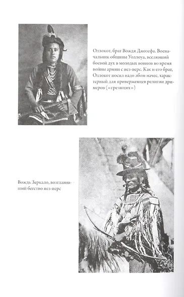 И будет рыдать земля: Как у индейцев отняли Америку - фото 6