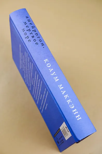 Апейрогон. Мертвое море - фото 10