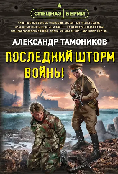 Последний шторм войны - фото 1