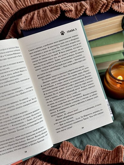 Убийство среди книг - фото 11