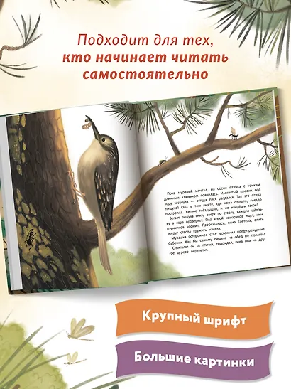 Как муравей за солнышком ходил - фото 7