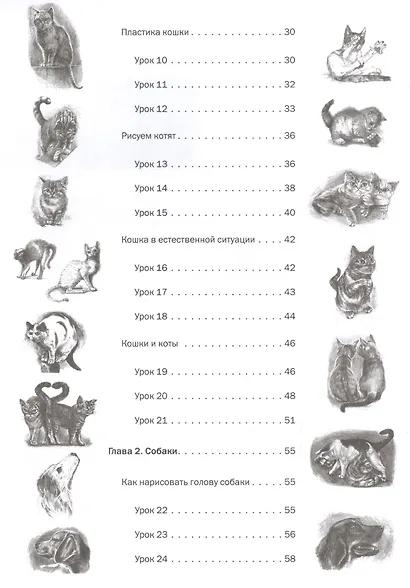Пошаговые уроки рисования. Рисуем кошек и собак - фото 3