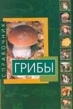Грибы Справочник - фото 1