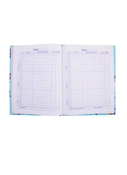 Дневник для средних и старших классов Феникс+, "Енот с печенькой" - фото 3