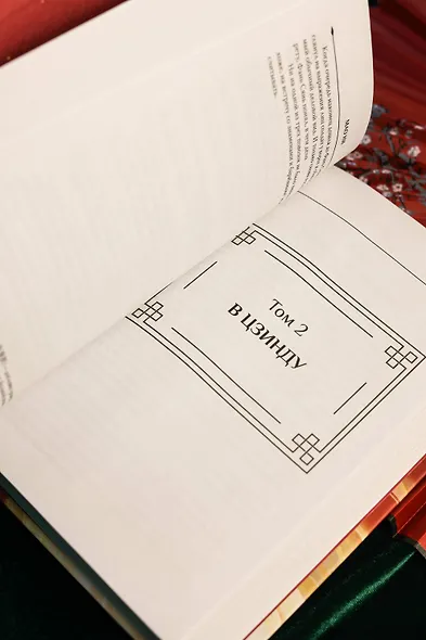 Радость жизни. Книга 1 (Joy of Life). Новелла - фото 13