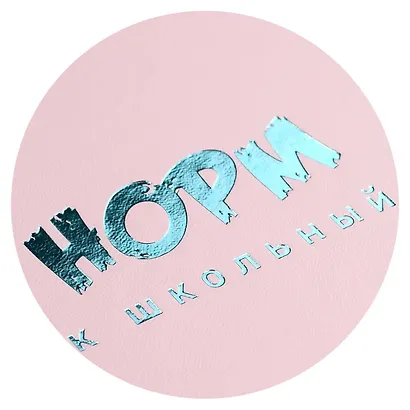 Дневник шк. "Всё норм" кожзам, тв.переплёт, тиснение фольгой, магнит.клапан, пантон, одно ляссе, загругл.углы, универс.шпаргалка - фото 15