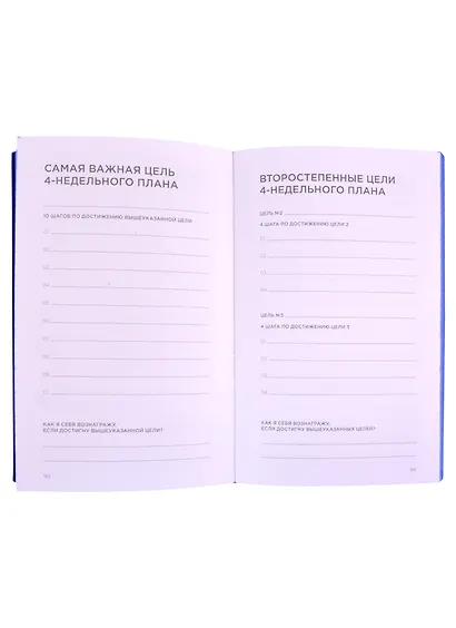 Дневник эффективности (новое издание) - фото 3