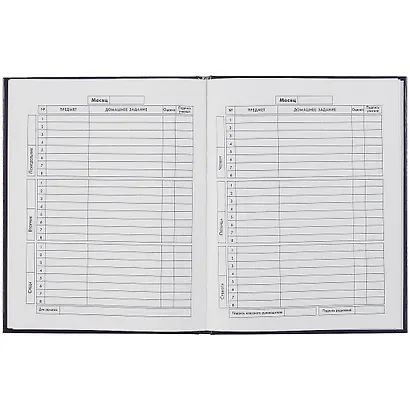 Дневник для средних и старших классов Феникс+, "Космос" - фото 2