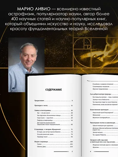 Золотое сечение мироздания. φ — Число Бога - фото 5