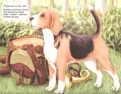 Домашние животные - фото 2