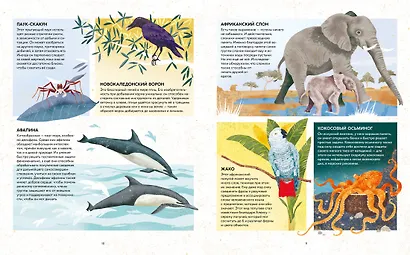 Удивительные животные. Самые-самые - фото 7